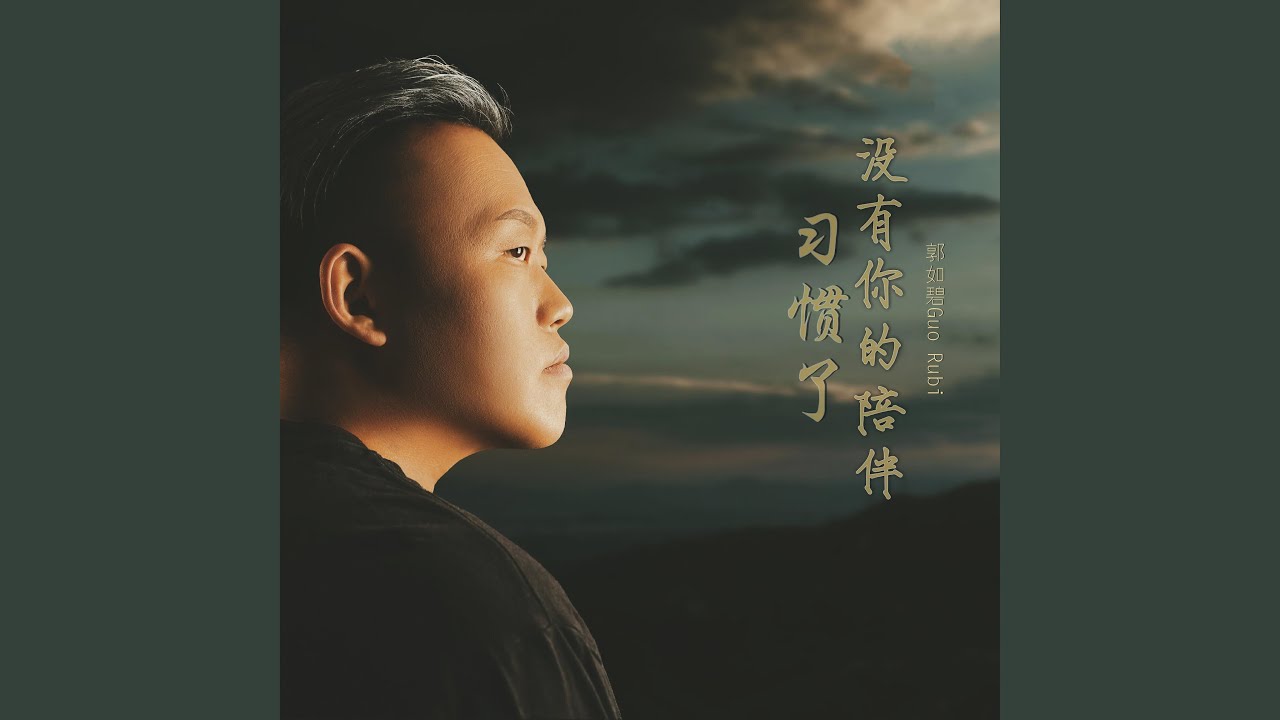 习惯了没有你的陪伴