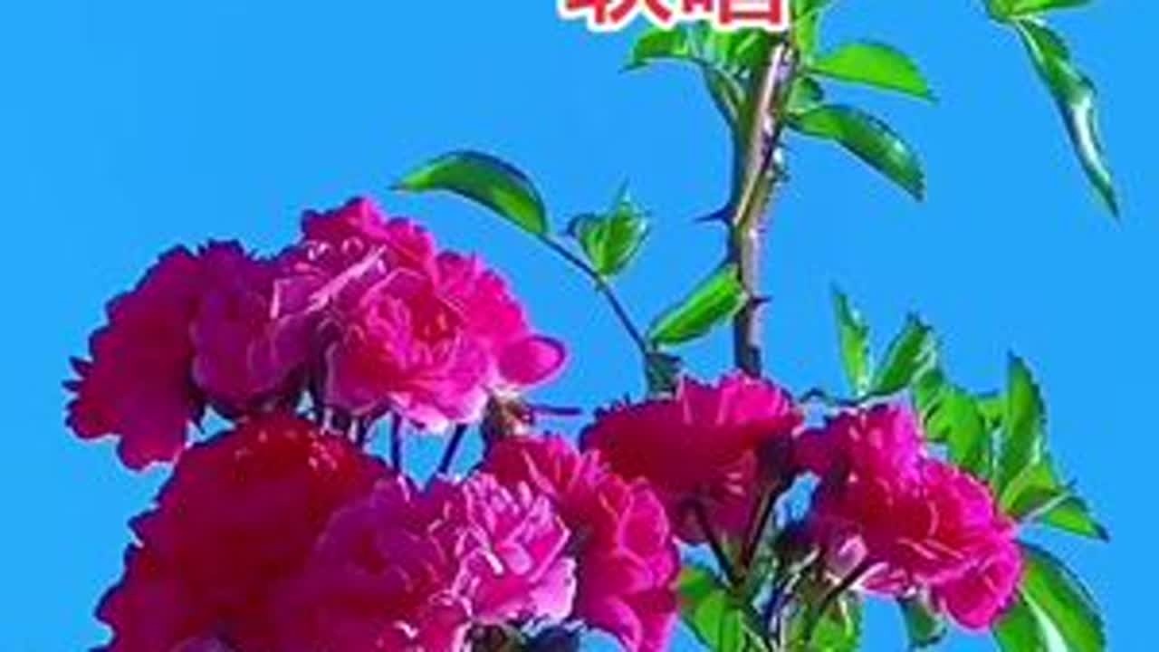 #秀出家乡美