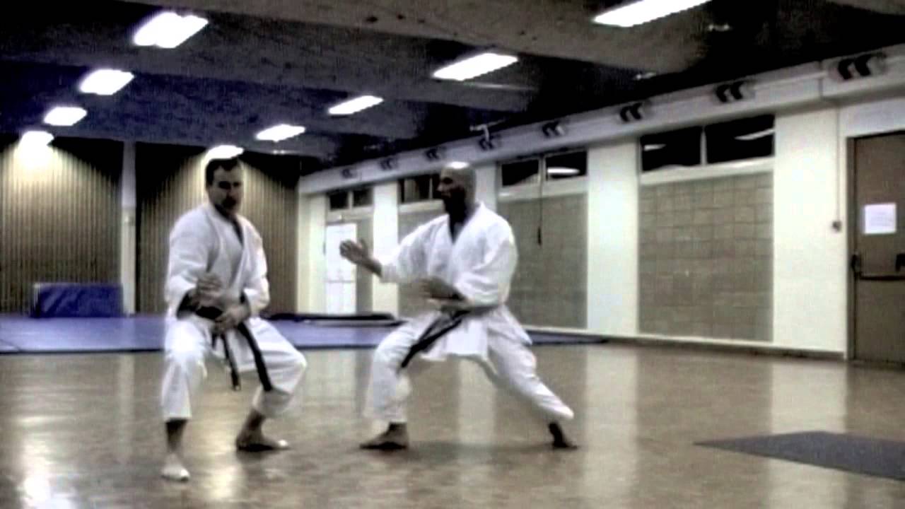 Miguel XAVIER Arts-Martiaux. Libre