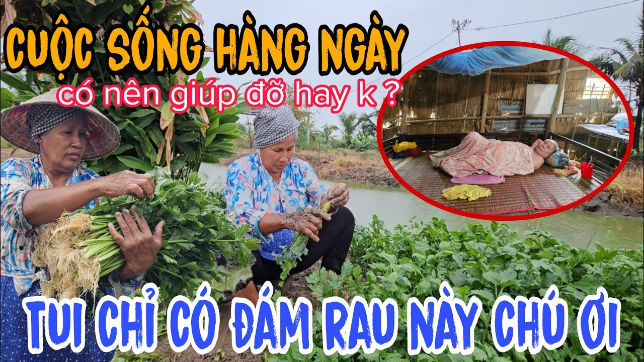 Cô Hoa Chú Đệ 