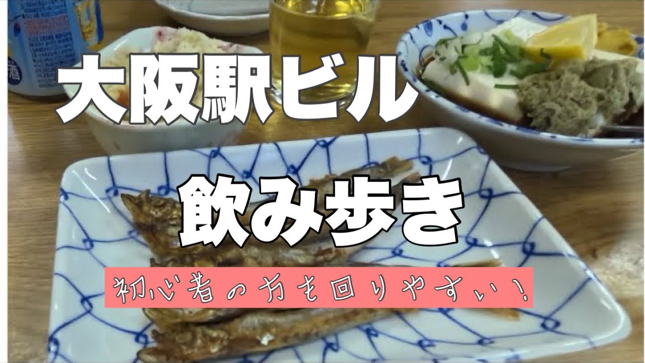 【大阪駅】駅前ビル飲み歩き