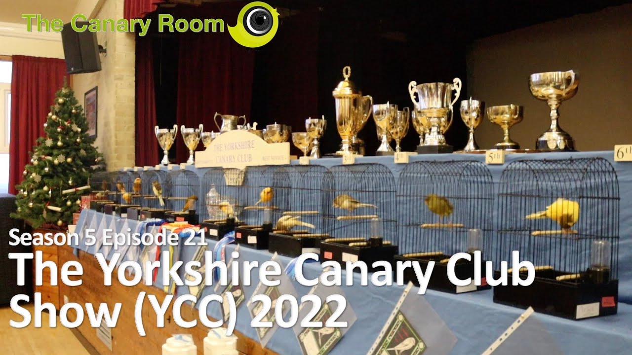 The Canary Room Season 5 Ep 21 - The Yorkshire Canary Club (YCC) 2022 Show