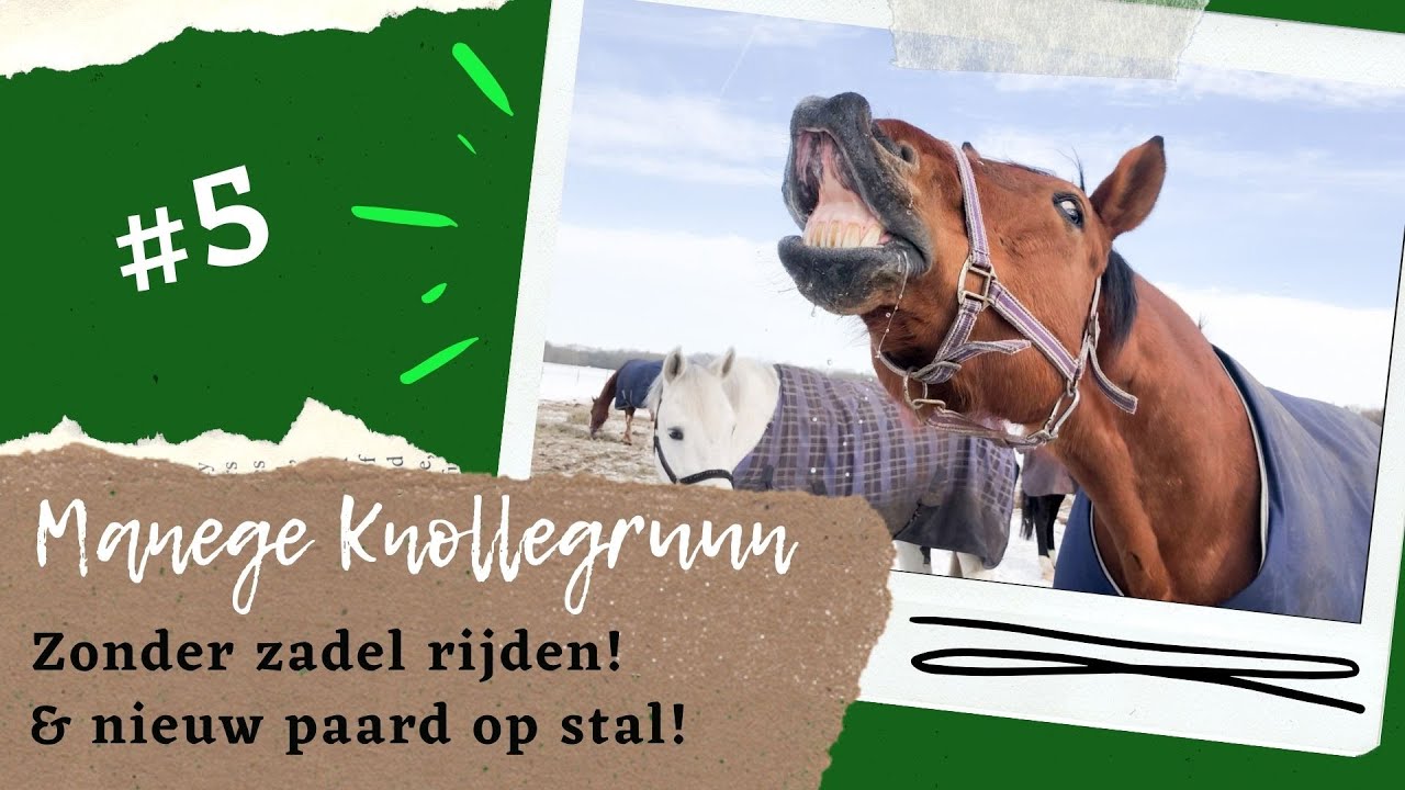 Zonder zadel rijden & nieuw paard! Vlog #5