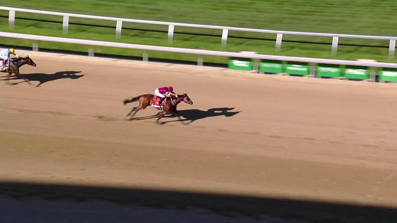 America's Day at the Races - Saturday October 17, 2026