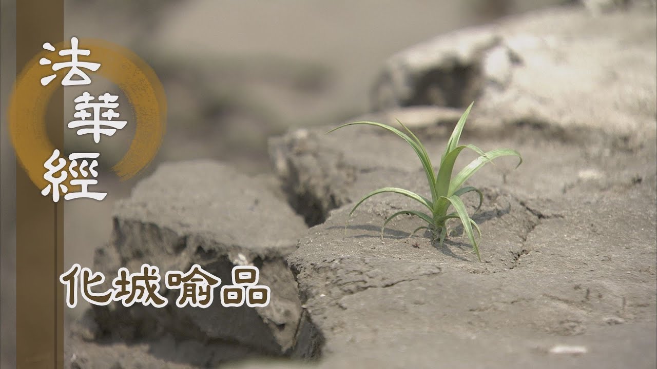 【靜思妙蓮華】法華經化城喻品 - 人身難得 珍惜法緣 - 20220203 第1082集