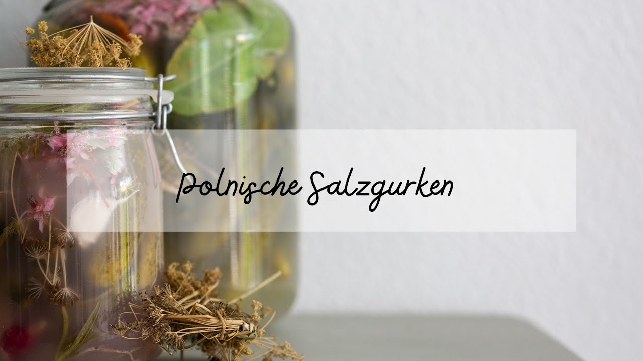 Gurken fermentieren - polnische Salzgurken Oma Style