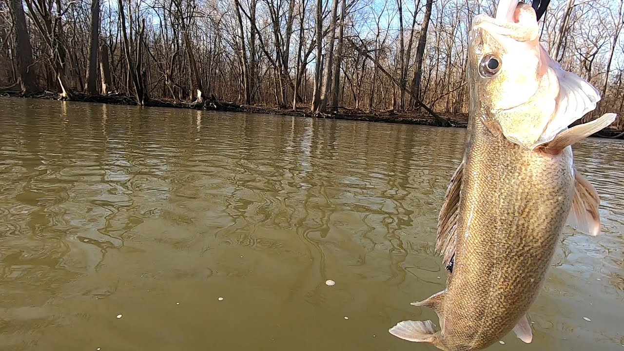 Sandusky River Walleye Run!!!