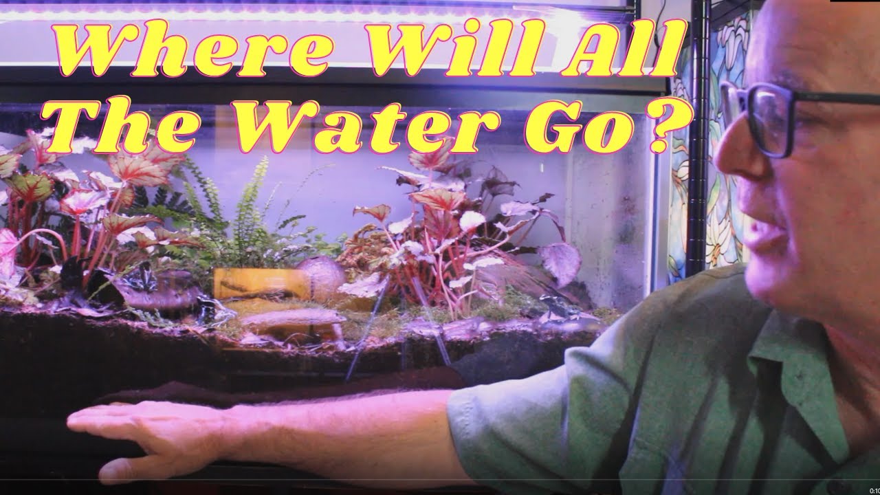 bioactive vivarium build - pt. 2 - How to create a false bottom for your vivarium.