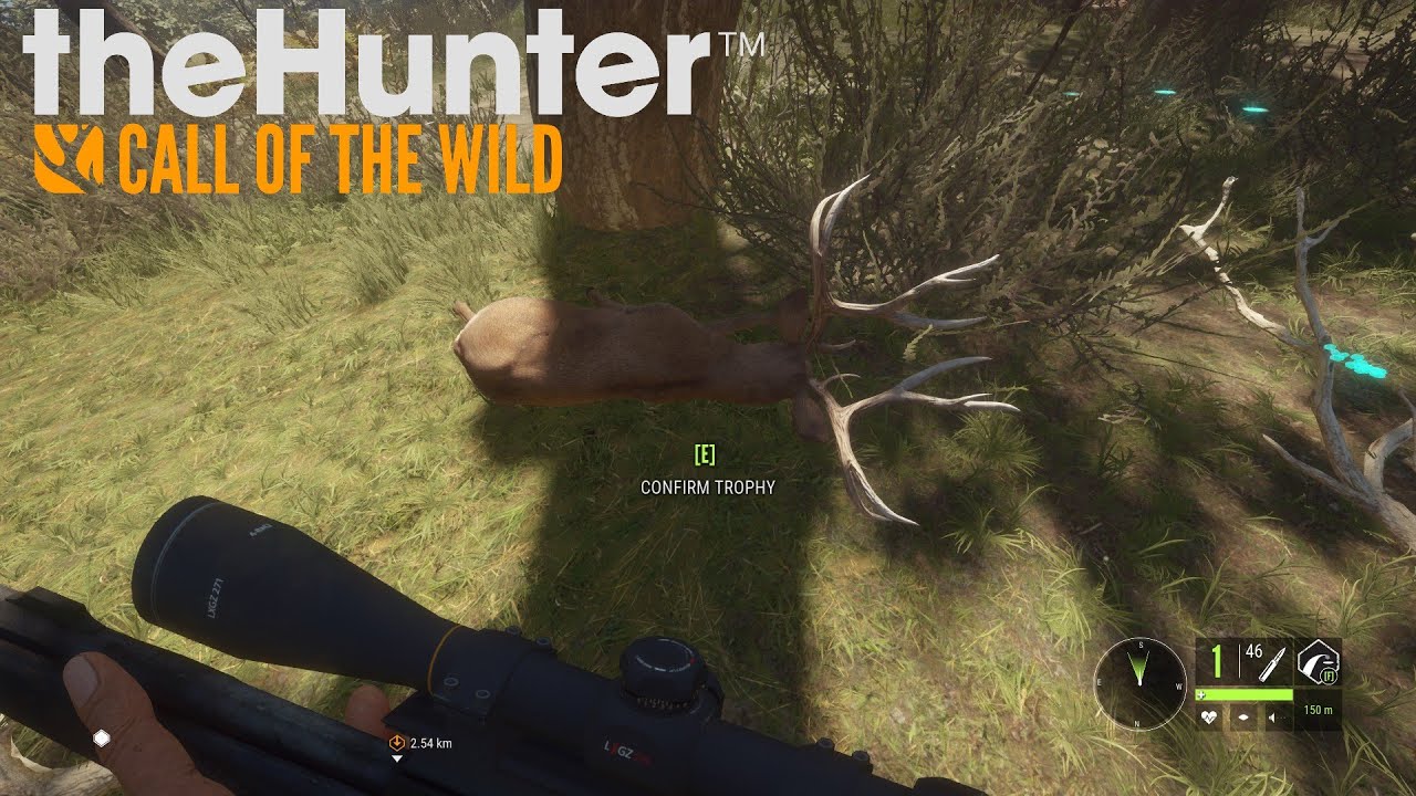 theHunter: Call of the Wild: Playing with the Zebra and getting big kills