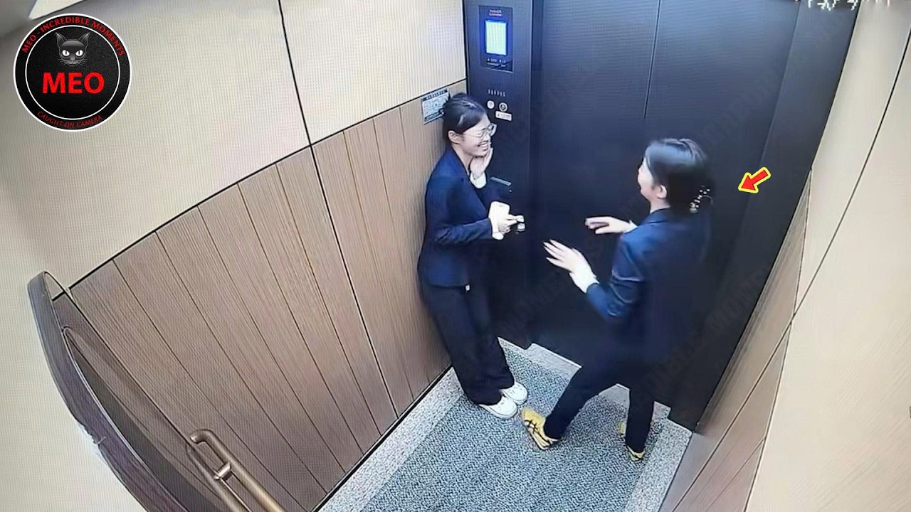 Moments When Things Went Wrong | Embarrassing Moments Caught on Camera(P131)