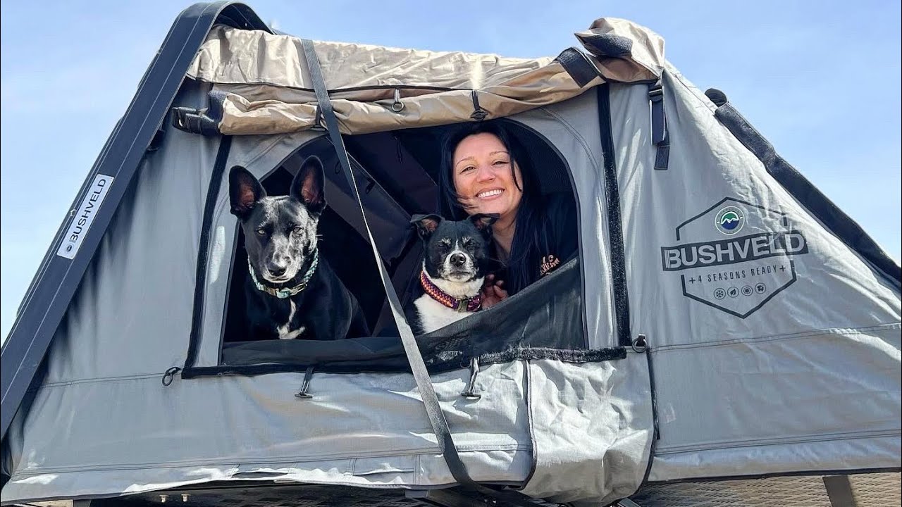 SHOULD YOU BUY A OVERLAND VEHICLE SYSTEMS Bushveld II Hard Shell Roof Top Tent? *REVIEW*
