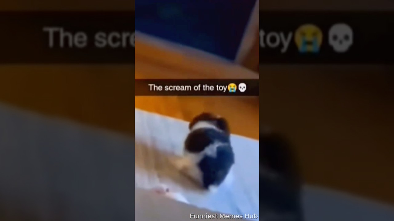 Dank Memes 😭 Part 48