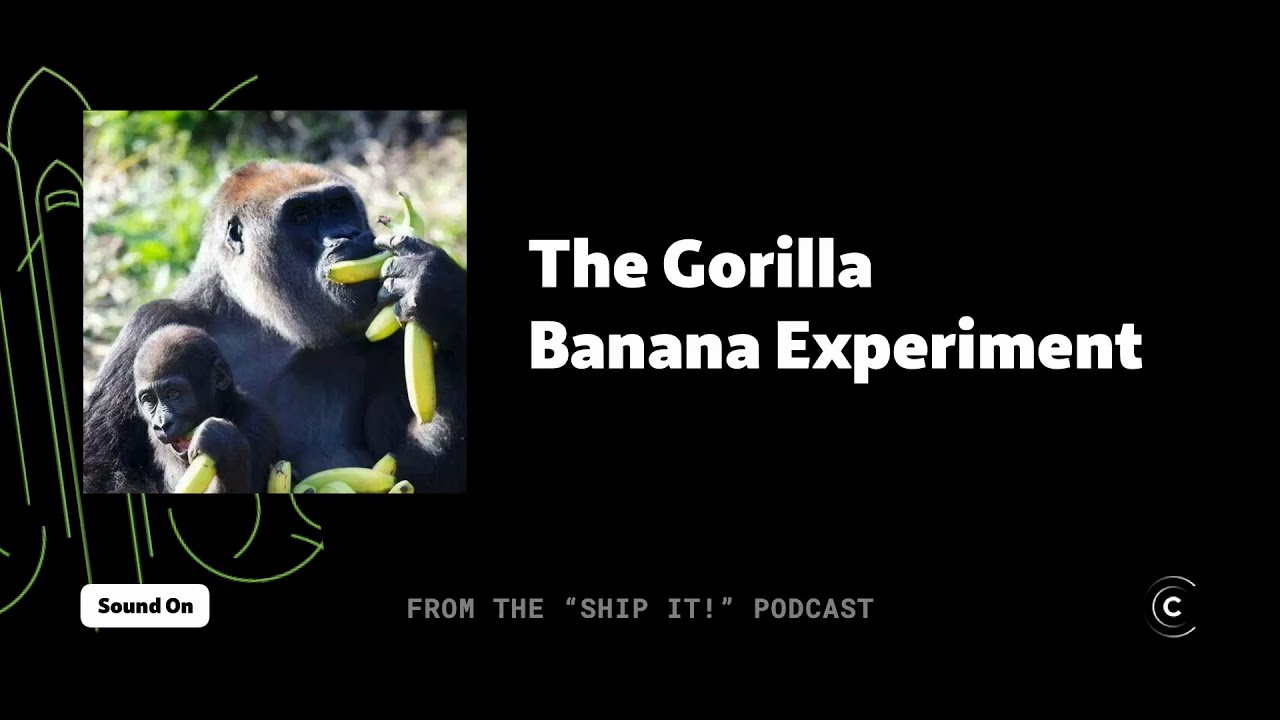 Have you heard about the Gorilla Banana Experiment?