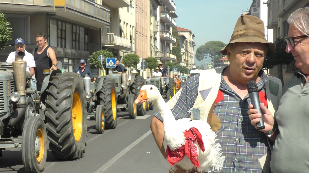 Speciali Teletruria