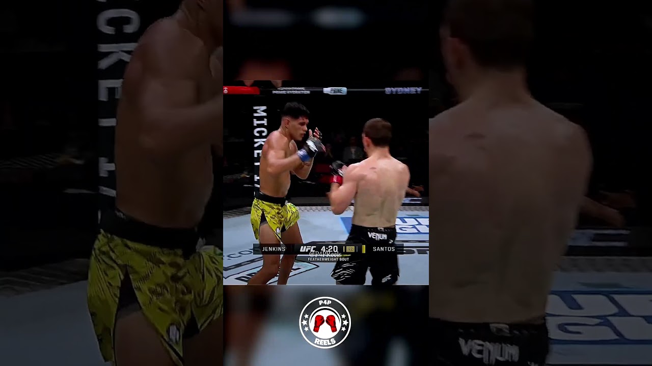 Gabriel Santos vs Jack Jenkins #ufc #mma #underrated