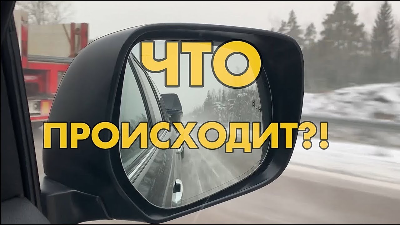 Что происходит?! Minnow мелководный убийца.