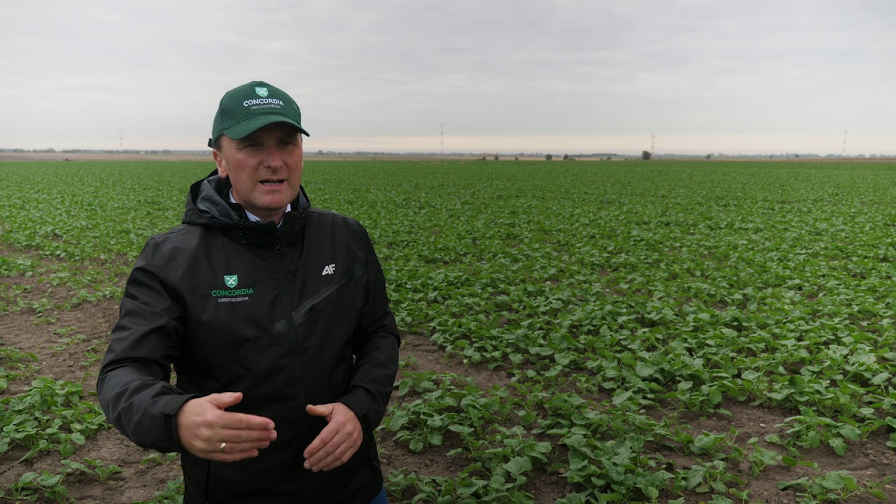 Na co zwrócić uwagę ubezpieczając gospodarstwo i uprawy? | FARMER.PL