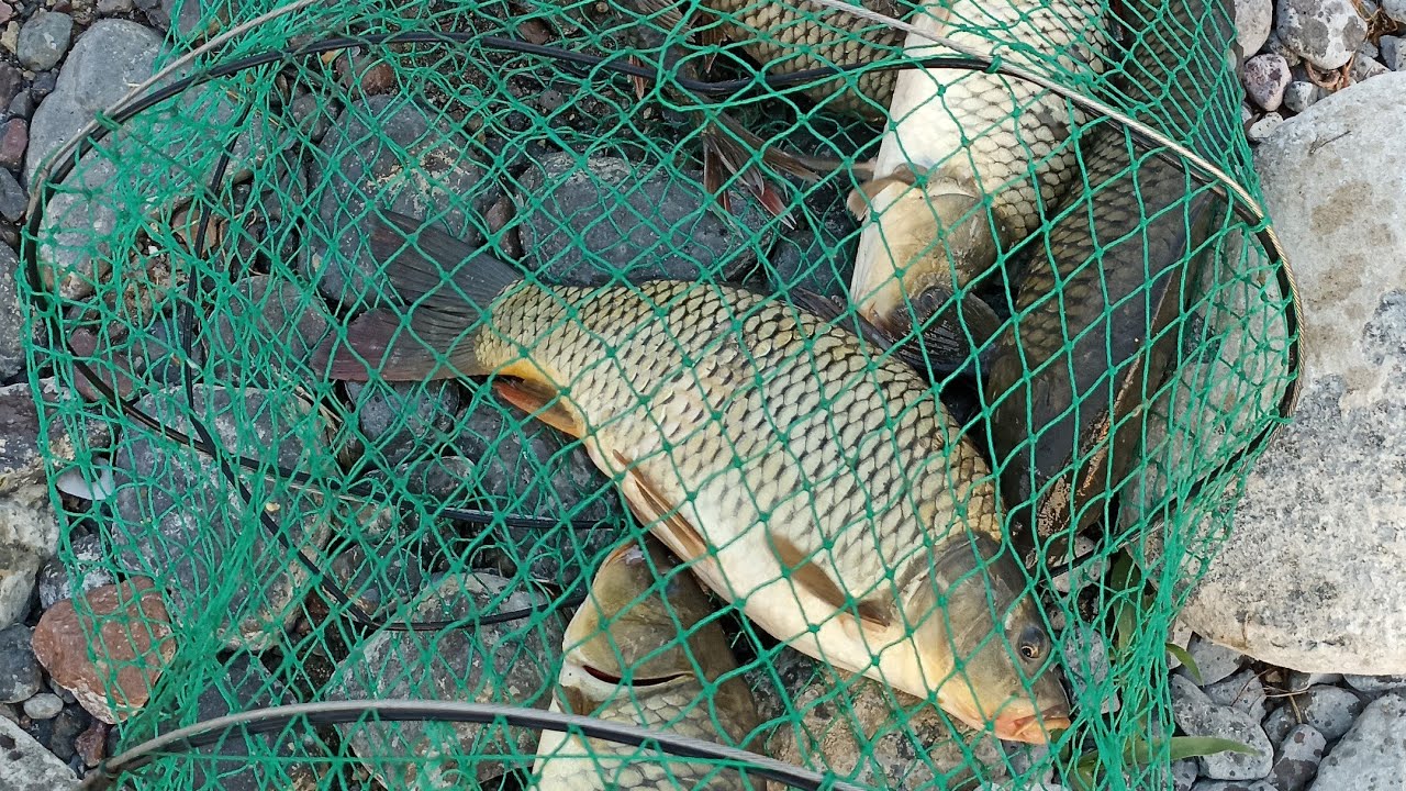 FIRTINALI KAMP SAZAN AVI #fishing#kamp#sazanavı#doğa#yağmur#fırtına#🎣🏕️