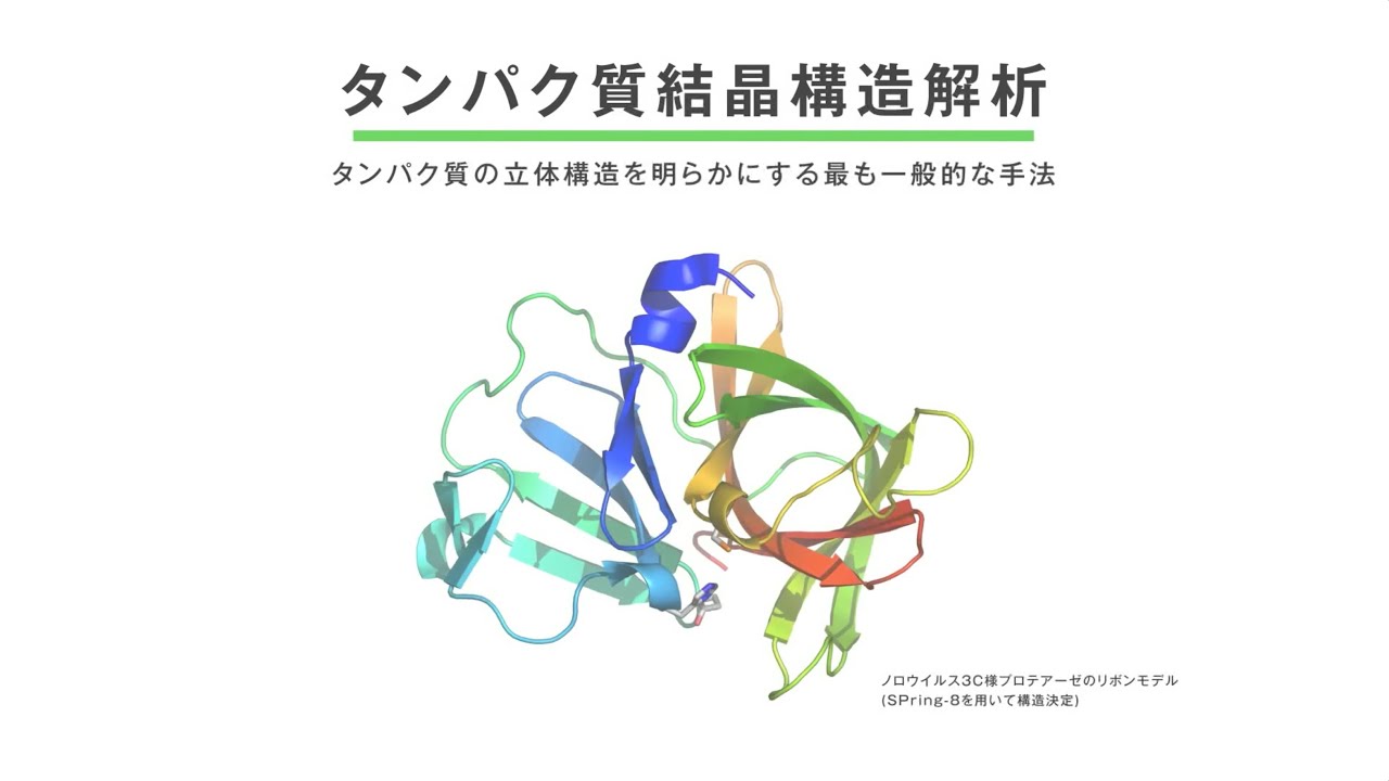 タンパク質結晶構造解析