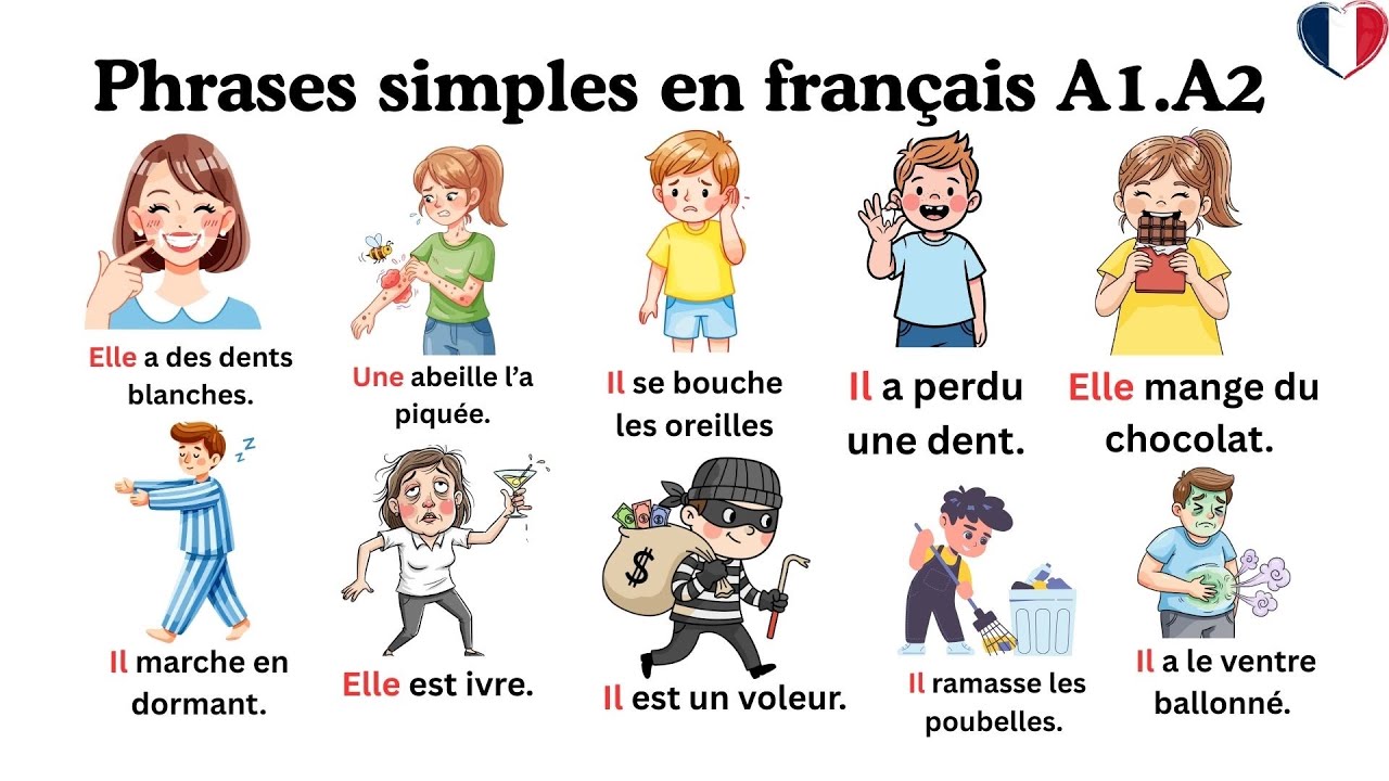 80Simple French Sentences with Pictures|Learn French FastA1#françaisfacile #frenchphrases #français