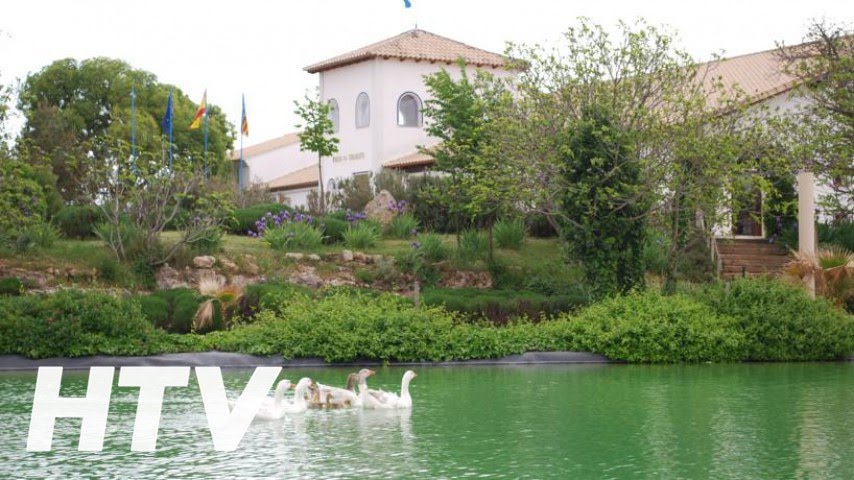 Pago de Tharsys, Casa rural en Requena