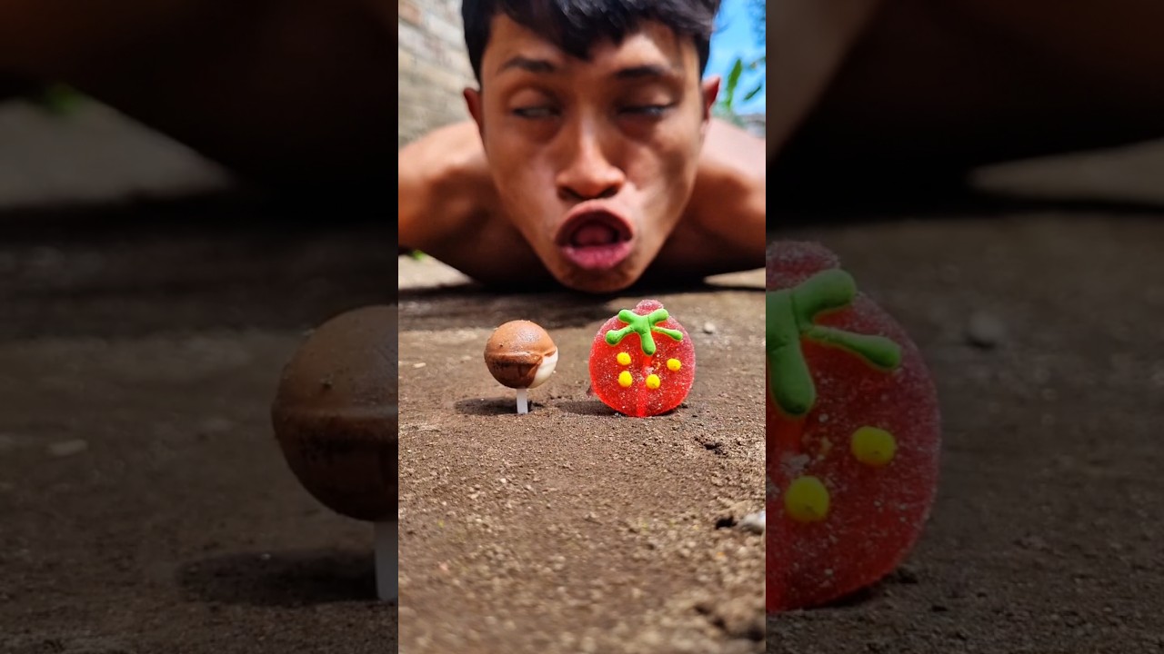special surprise for little centipede, really cute #millipede #shortvideo