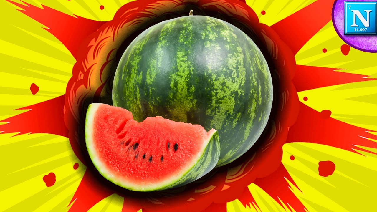 GUNPOWDER vs. WATERMELON : Will It Blow? Ep. 01