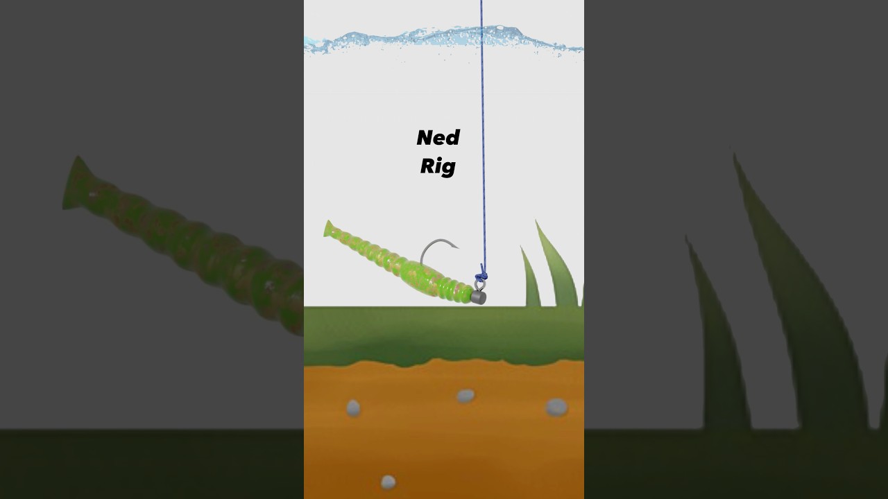 Ned Rig - how to tie this finesse fishing setup for pressured bass walleye panfish #fishing