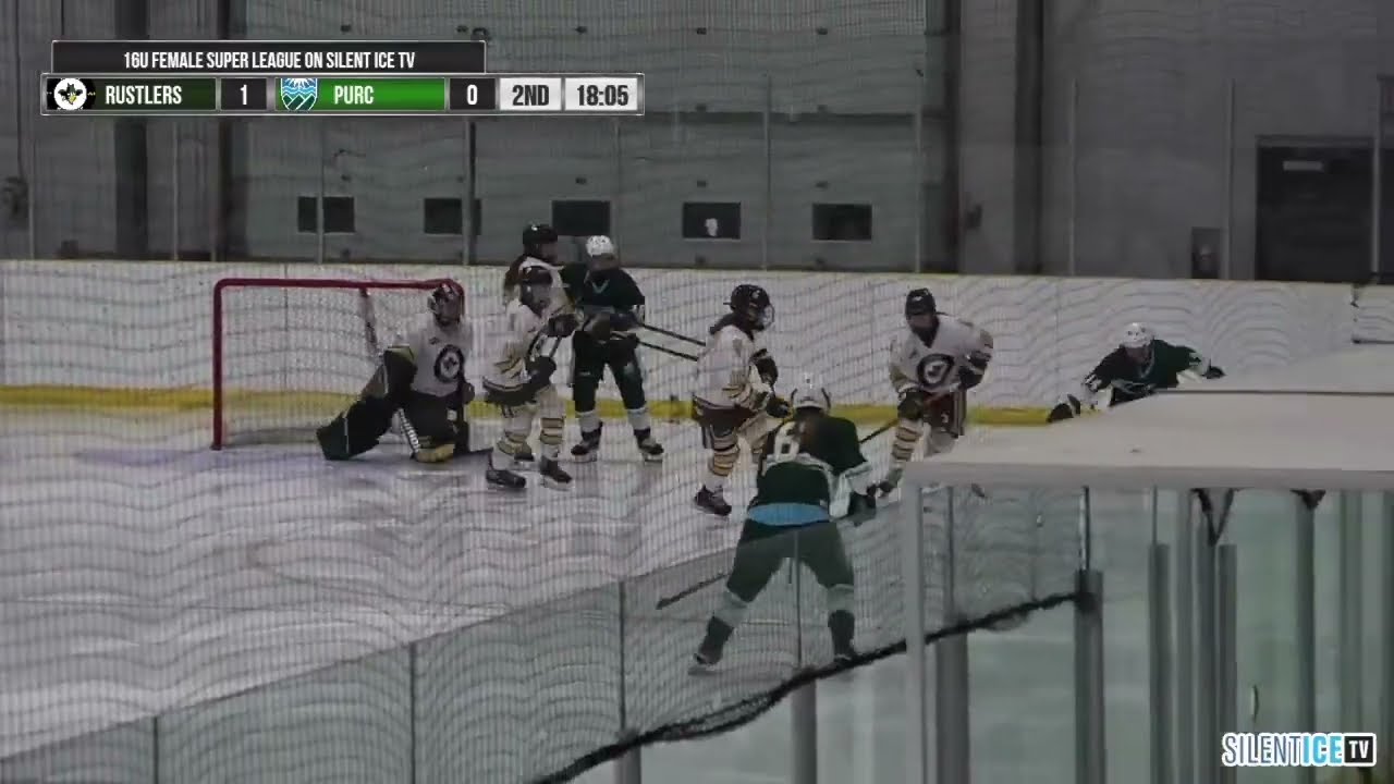 Hannah Erlandson, Goalie, 2027 Grad, Nov 1st, 2025 Highlights