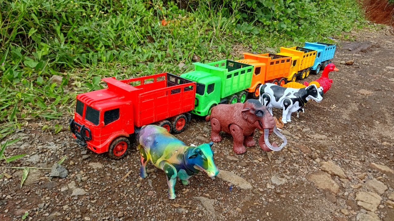 Wadidaw ‼️ Angkut Sapi Kurban Mammoth Bebek Kambing dengan Truk