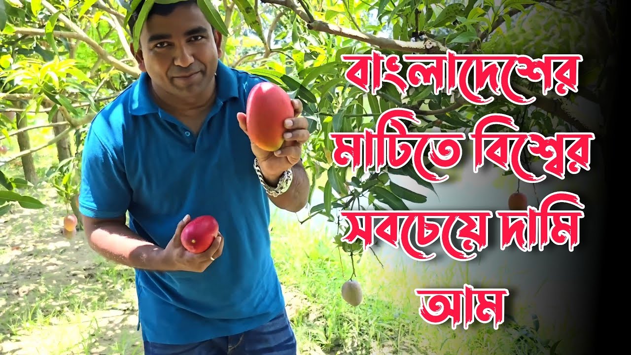 ছাদবাগানের আভিজাত্য 
