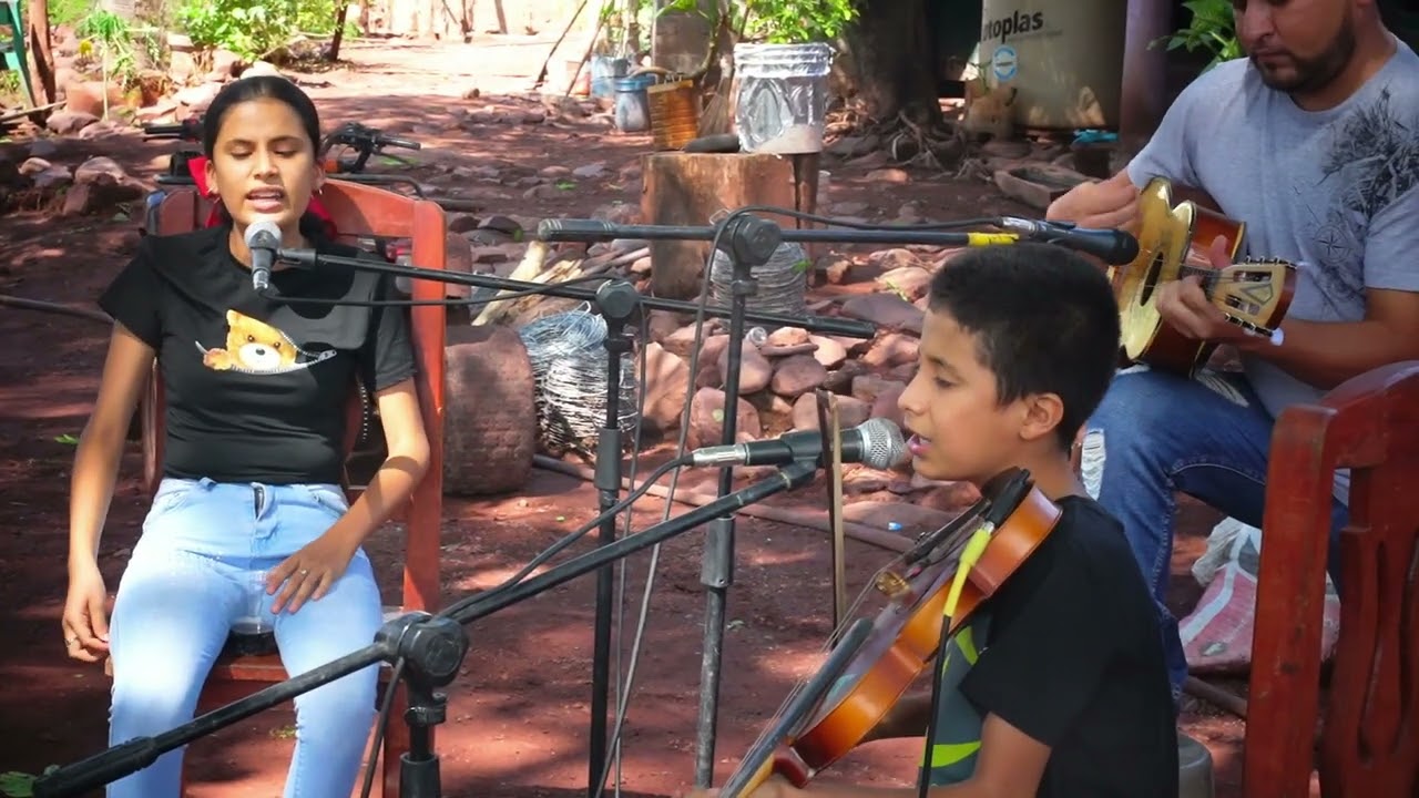 Si te vengo a traer serenata tan solo me basta una noche cualquiera / Manuelito Cruz