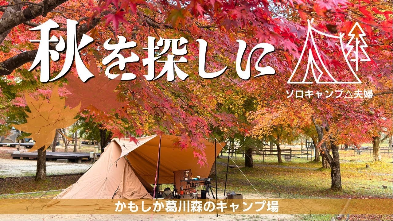 【紅葉キャンプ】秋を探して“かもしか葛川森のキャンプ場”へ｜秋はどこ？60％の紅葉