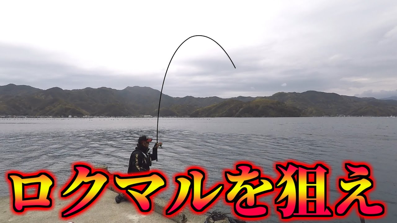 ロクマルが狙える最強釣り場で良型連発！！！