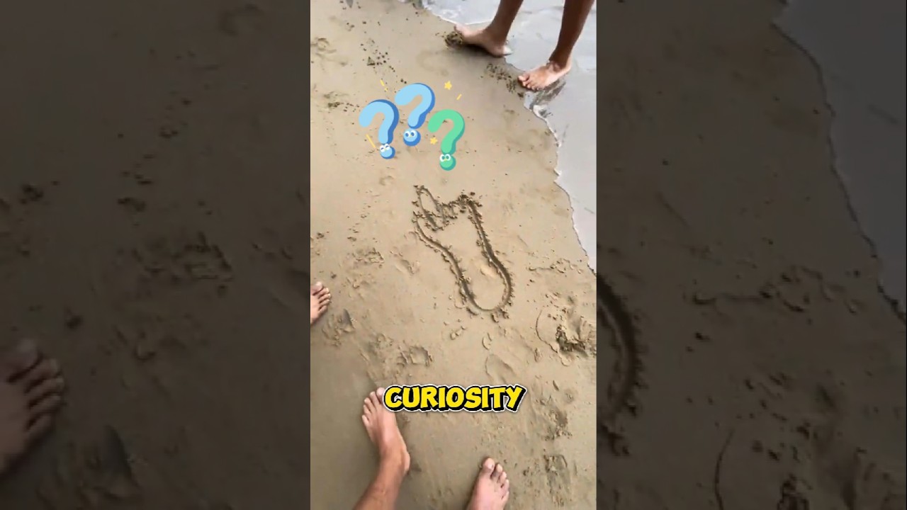 Mysterious Footprint on the Beach