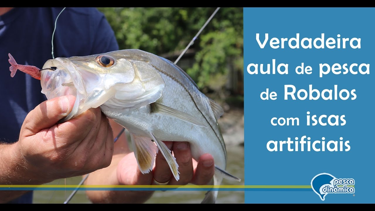Top Dica - Verdadeira aula de pesca de robalos com camarão artificial em baías
