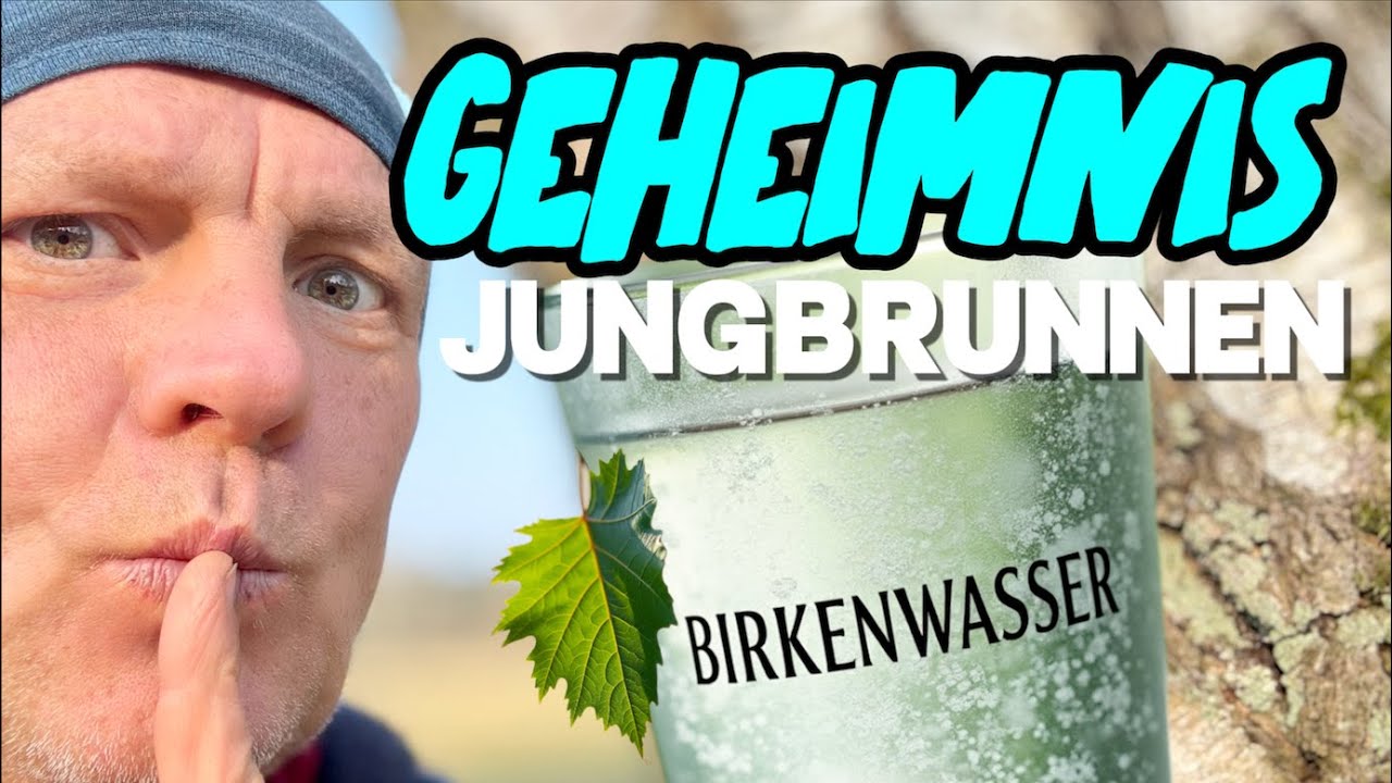 Birkensaft: Geheimnis Jungbrunnen &ndash; Stoppt Alterung/Birkenwasser ein  Energy Drink zum selber Zapfen