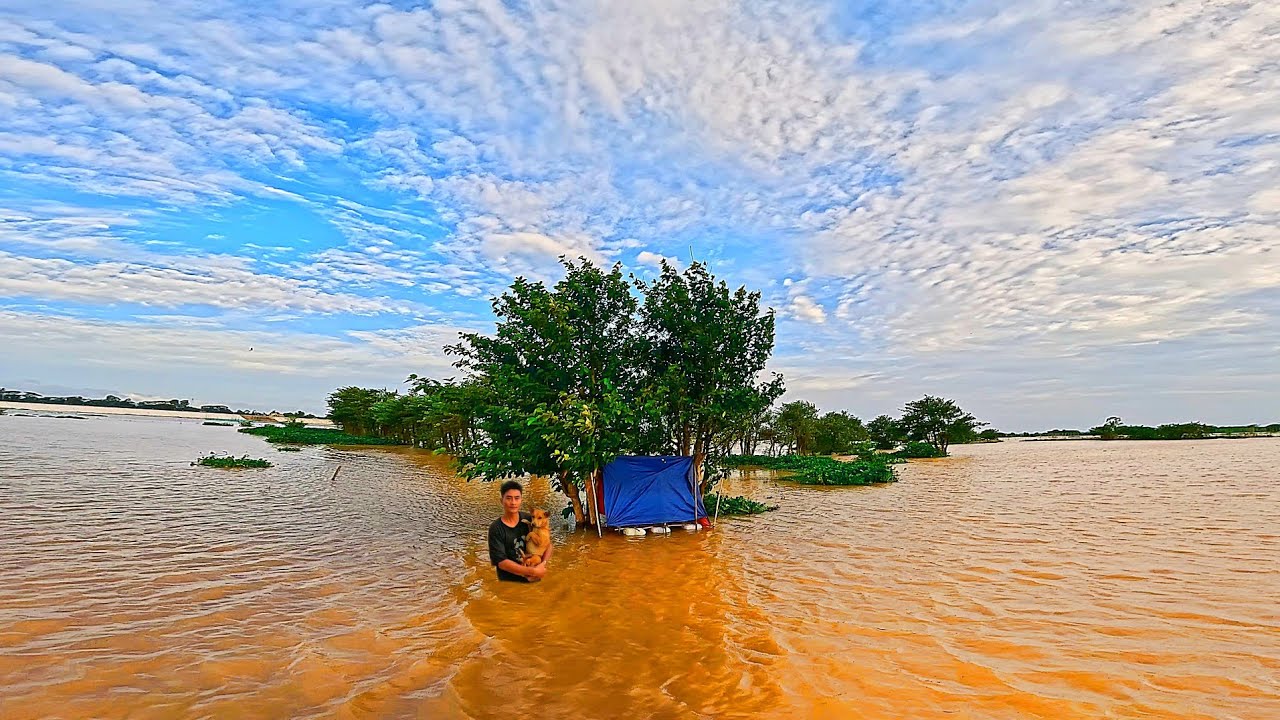 Camping in floodwaters with dogs | Building a treehouse as a shelter