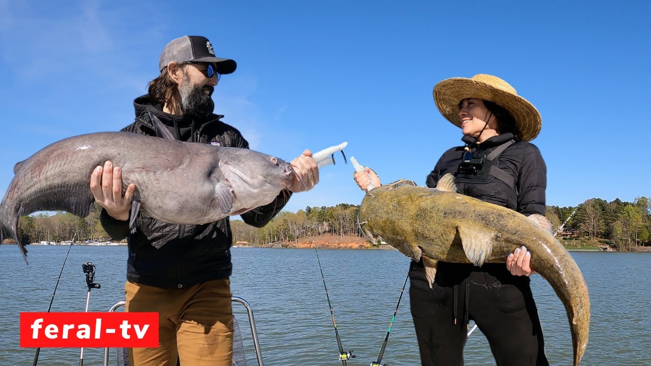 Spring Catfishing on Lake Wylie (Who Caught the BIGGEST fish??)