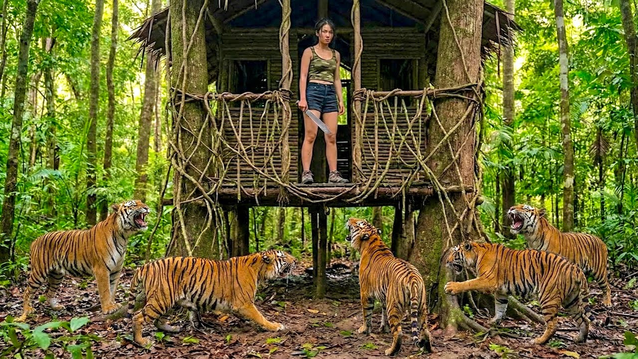20 Days to build a shelter from vines in a tree - escaping a Tiger  pack attack.