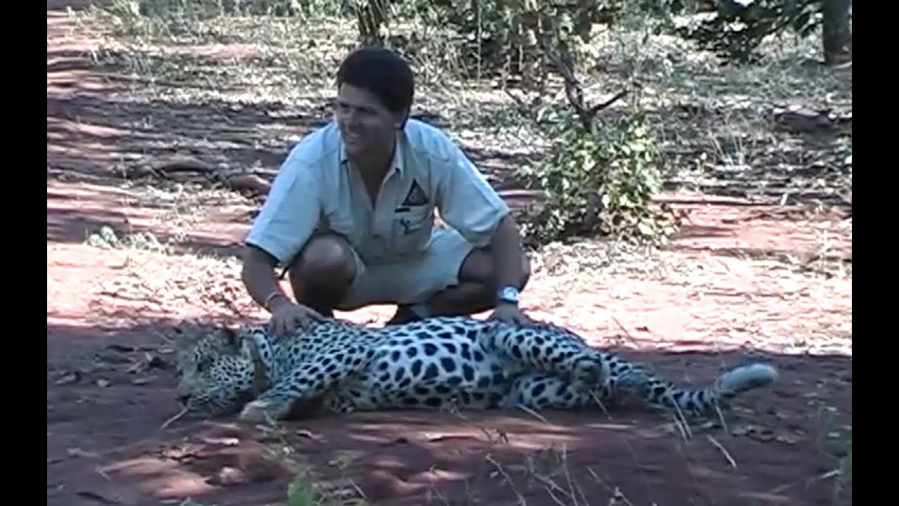 The Moment It All Began – Leopard Zan & our father’s promise