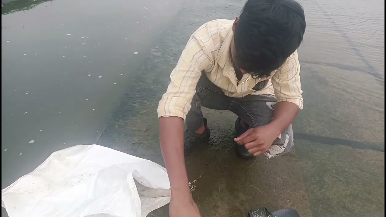 Hi SS fish hunting Nellore barrage kindha yelaa paduthunaru chudandi