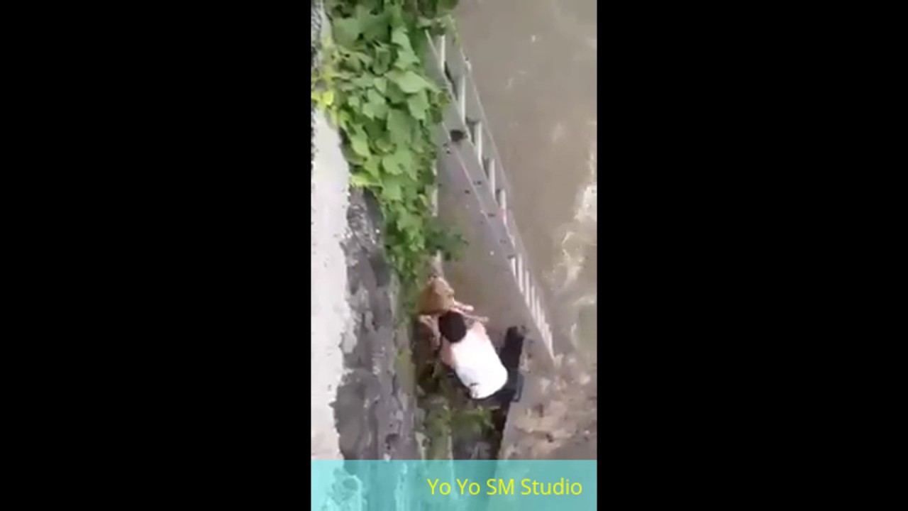 A Courageous Selfless Rescue  !! Real Dare Devil Act