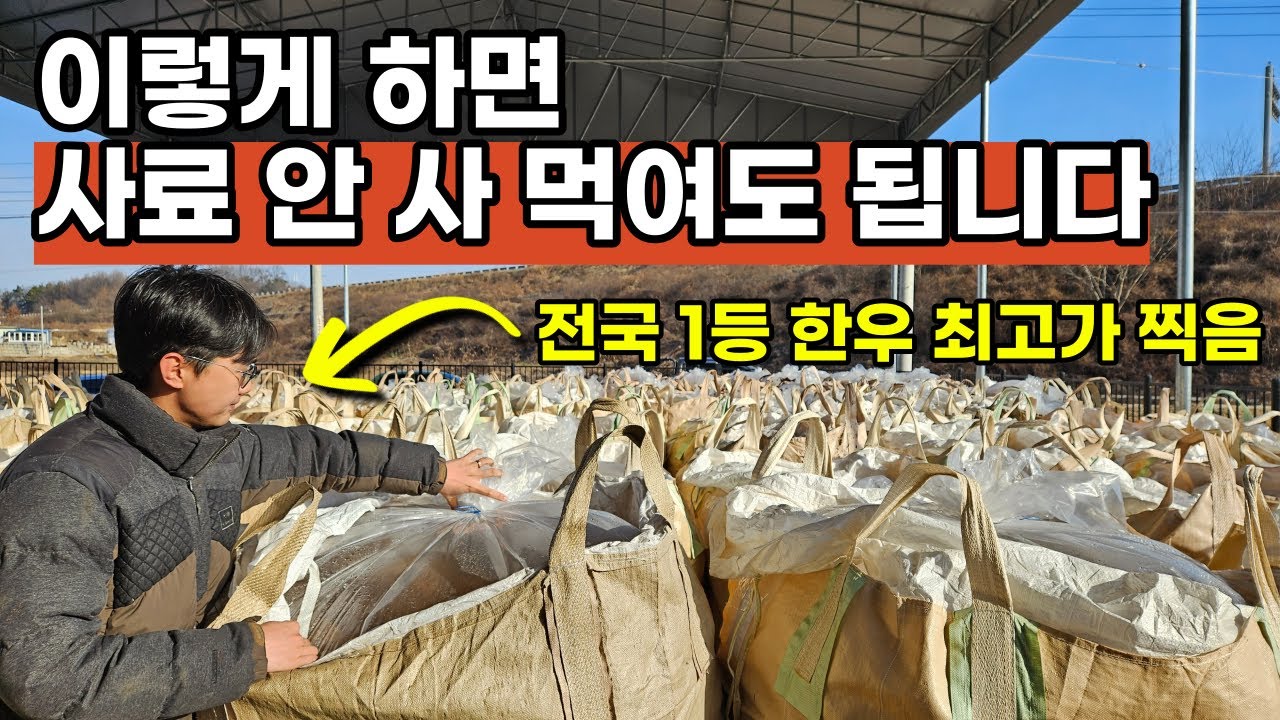 매일 5천마리 한우가 먹는 발효사료를 만드는 방법 (자가배합, TMR사료)