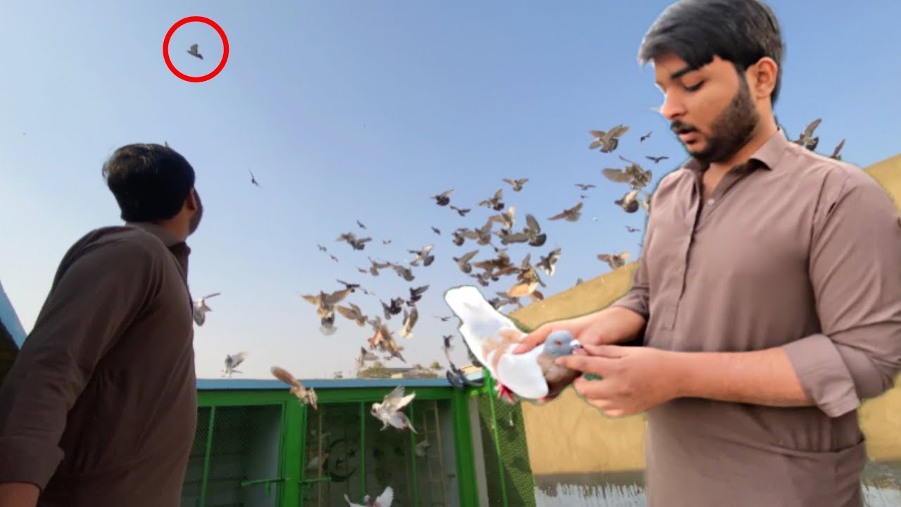 Subha Waly Kabtroon Mein Kisi Ka Ghagra Kbotr Pkra😍