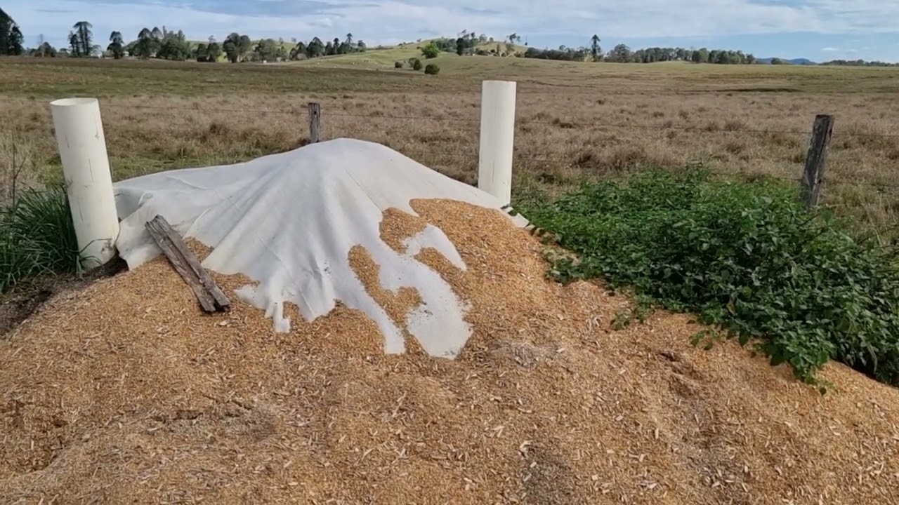 Commercial Worm Farming