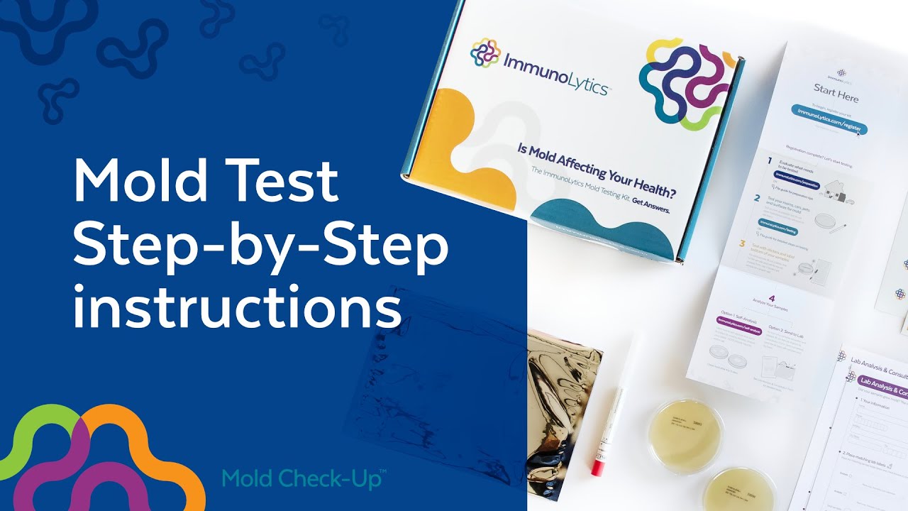 The Immunolytics Mold Test Kit — step-by-step guide