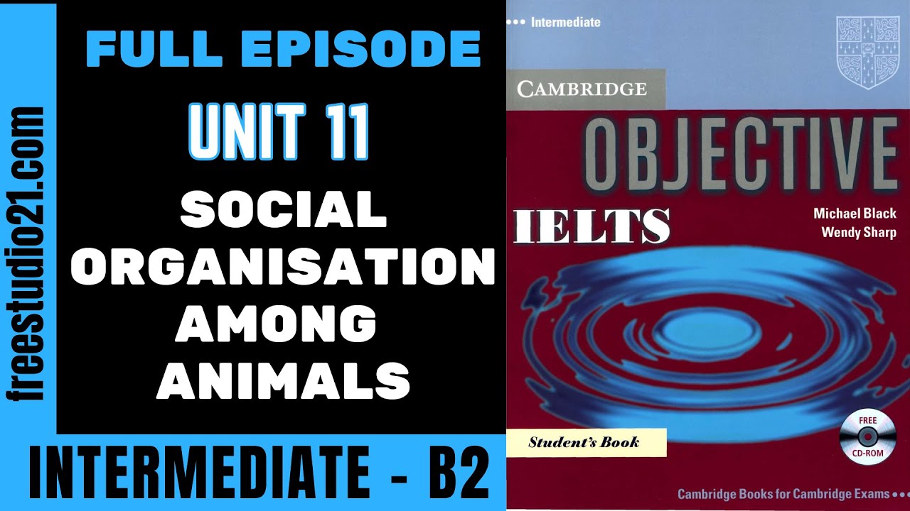 IELTS Intermediate | SB |  Unit 11 | текст Social Organisation Among Animals -Full Episode
