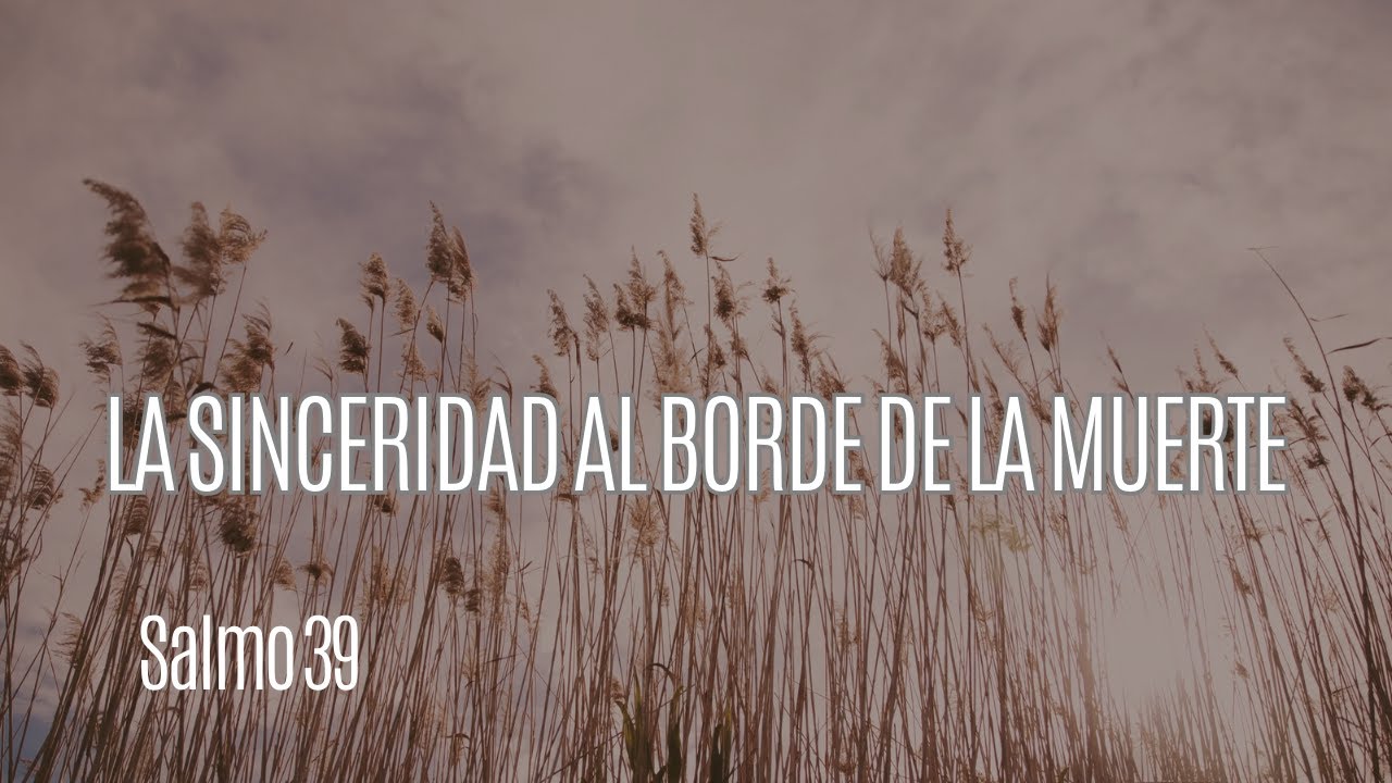 La Sinceridad Al Borde De La Muerte