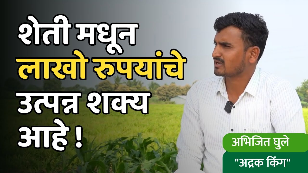विक्रमी उत्पादन घेणारा तरुण शेतकरी | अद्रक किंग Abhijeet Ghule | Ginger Farming | Dr Prafull Gadge